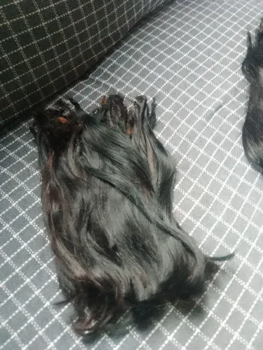 Cabelo humano