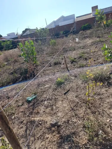 LOTE ESCRITURADO - BAIRRO SANTA CRUZ- JANAÚBA MG