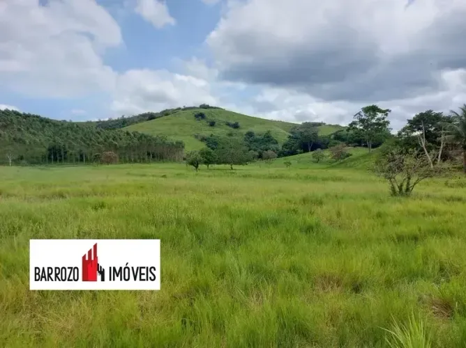 Barrozo Imóveis - Fazenda com 30.5 alq (147.62 ha) com água por gravidade da serra.