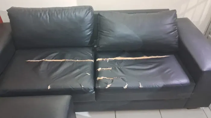 Dois sofás 2 e 3 lugares 