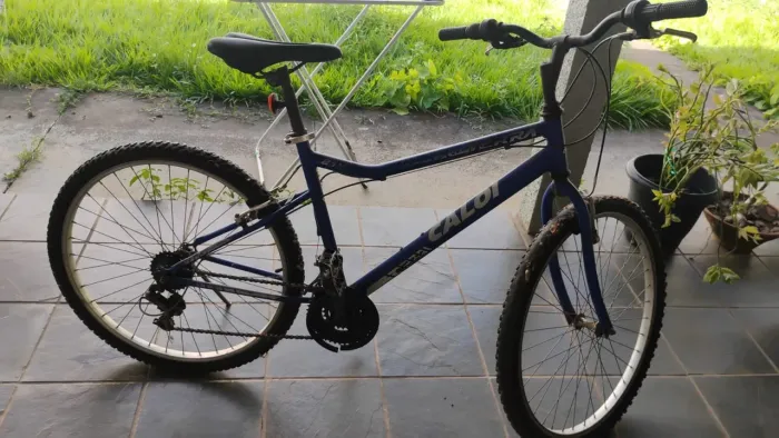 Bicicleta adulto