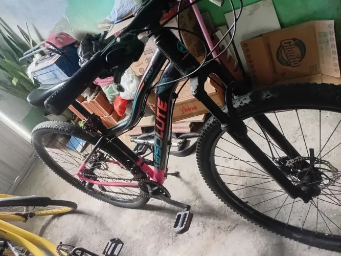 Bicicleta