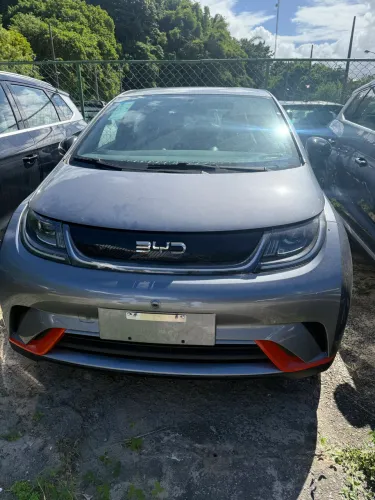 Aluguel byd dolphin Uber black 99 1400,00