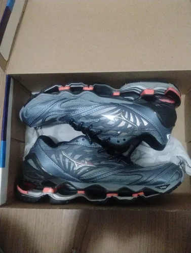 Mizuno prophecy 8