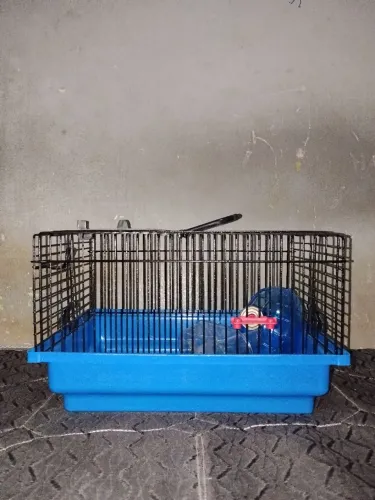 Gaiola para Hamster