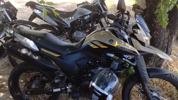 Vendo Lander 2023