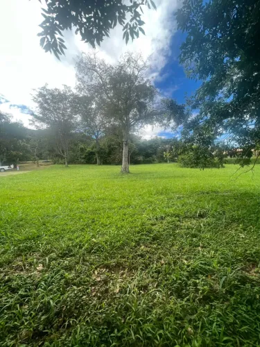 LOTE COM LAGO AO FUNDO