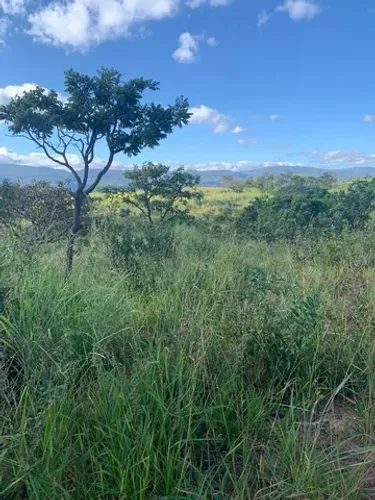 Buenópolis- Fazenda 128 hectares- R$ 1.792.000,00
