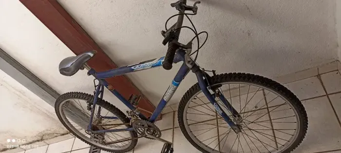 Bicicleta adulto 