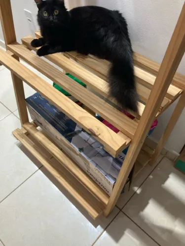 Arara Glow Dupalletes