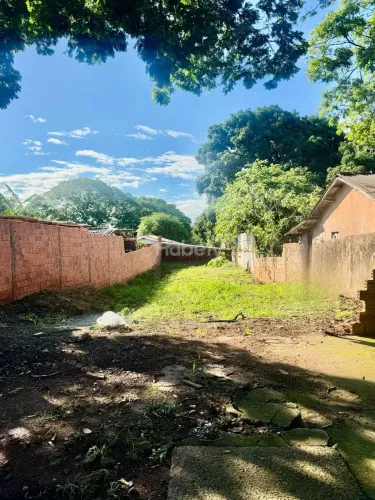 Lote / Terreno - Zona V