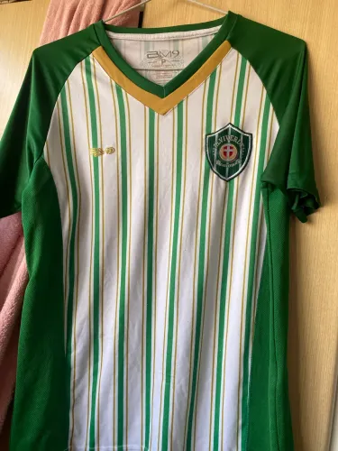 Camisa palmeiras antiga