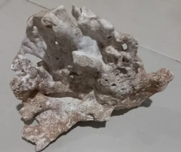 Sansibar Rocha decorativa corrige pH da água de seu aquário 