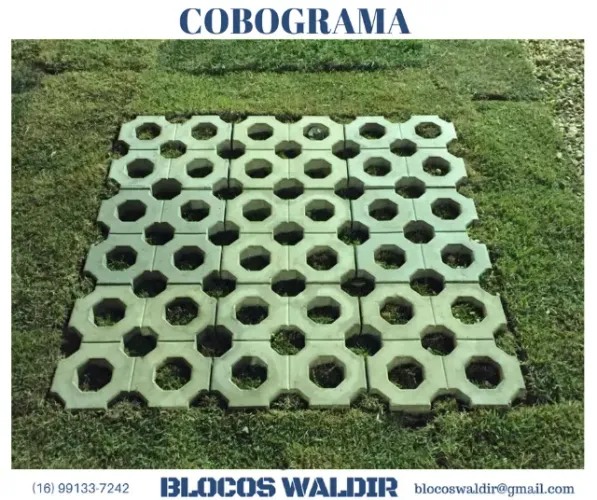 Cobograma 5 furos