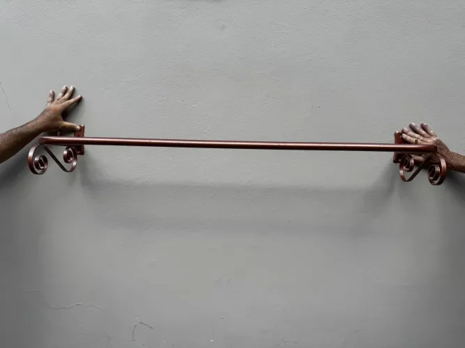 Arara de parede