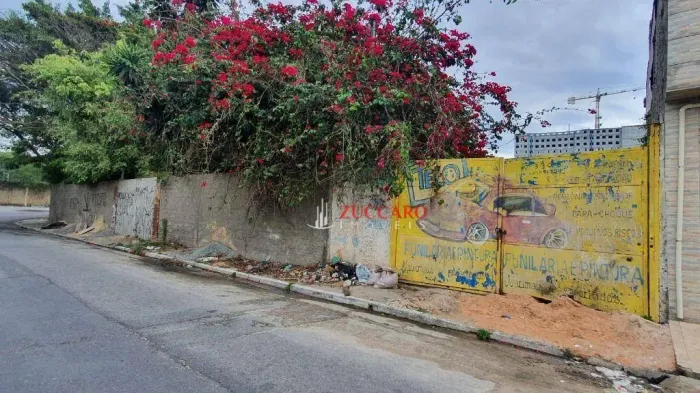 Terreno à venda, 1000 m² por R$ 2.000.000,00 - Vila Jacuí - São Paulo/SP