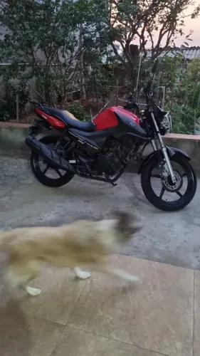 Yamaha Factor 19/20