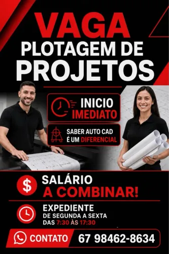 Auxiliar Grafico