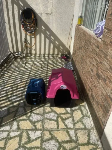 Casinha e caixinha de transporte