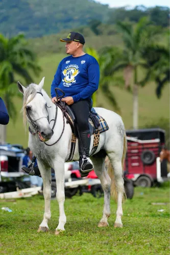 Cavalo