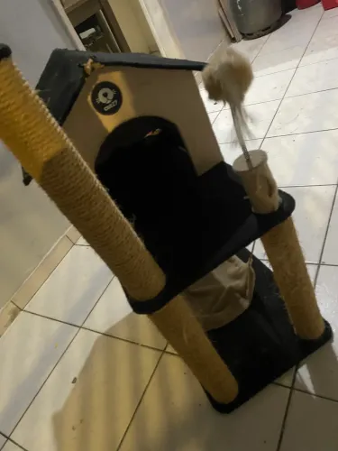 CASINHA/ARRANHADOR PARA GATOS