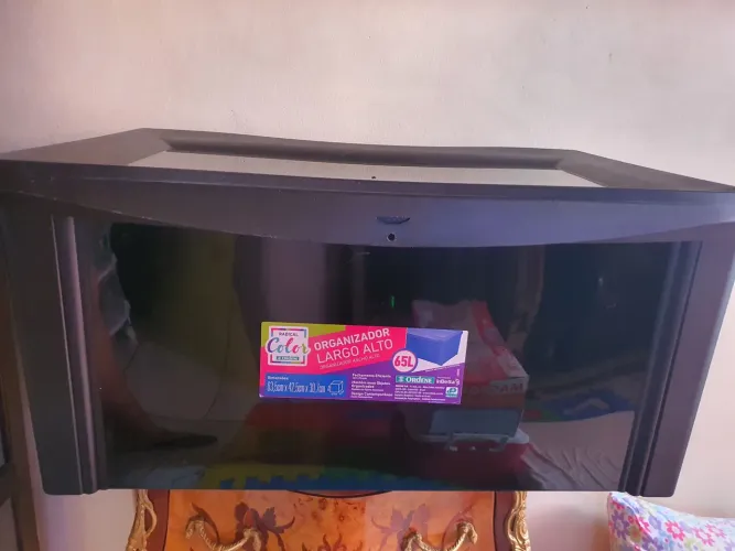 CAIXA ORGANIZADORA ORDENE 65 LITROS