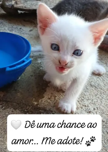 Doação