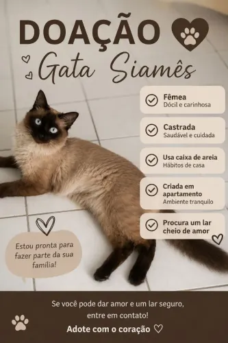 DOAÇÃO - GATA SIAMÊS