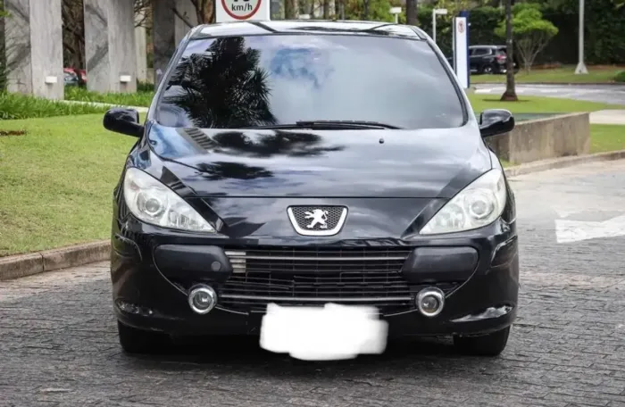 Peugeot 206 Presence 1.4/ 1.4 Flex 8V 5P 2007