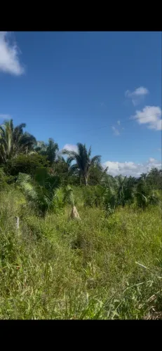 Chácara próximo ao cedere 11
