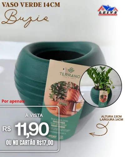 Vaso de Planta