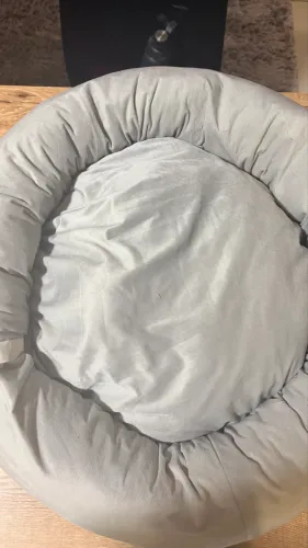 Kit Pet