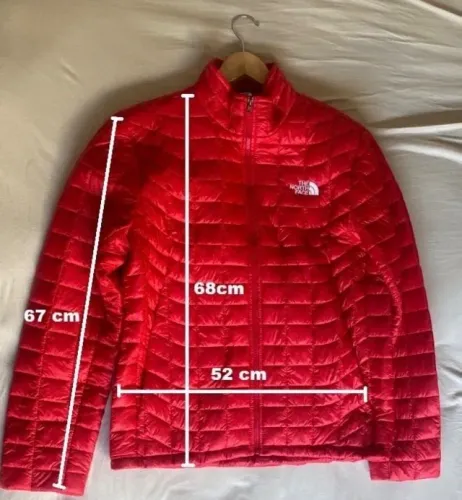 Jaqueta masculina The North Face
