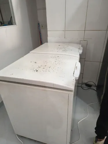 Freezer congelador 