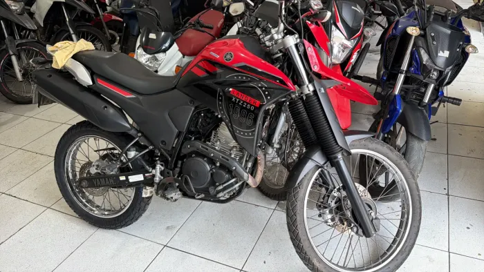 Lander 2023 23.900,00