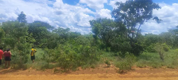 Chácara 2.000 fazendinha baú dos dourados 