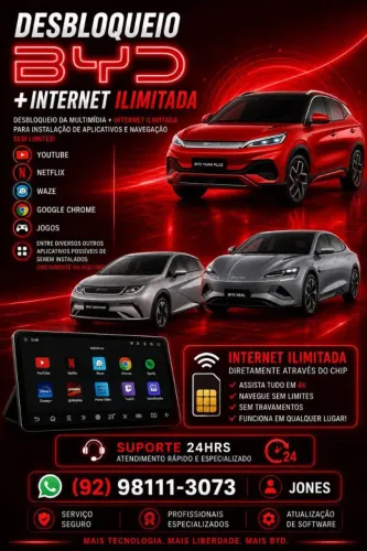 BYD Dolphin Mini (Elétrico) 2025