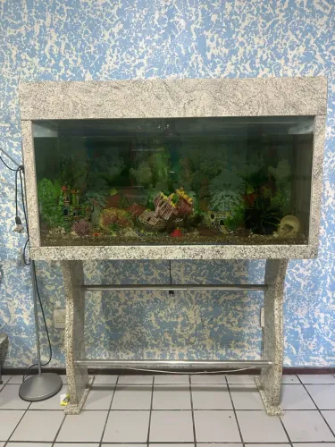 Aquário