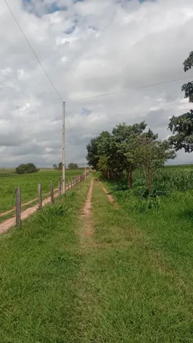 Sitio em Cedral-SP 2.5 alqueires Espetacular com excelente estrutura - Represas com peixes