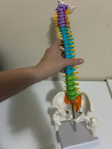 Coluna para decoração