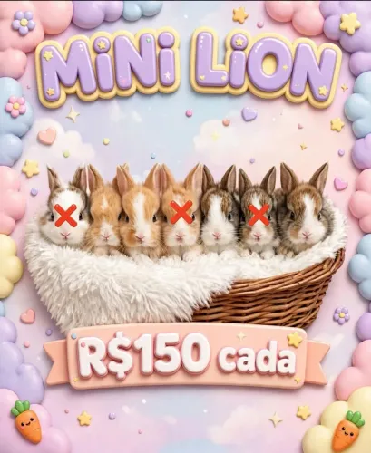Mini coelho