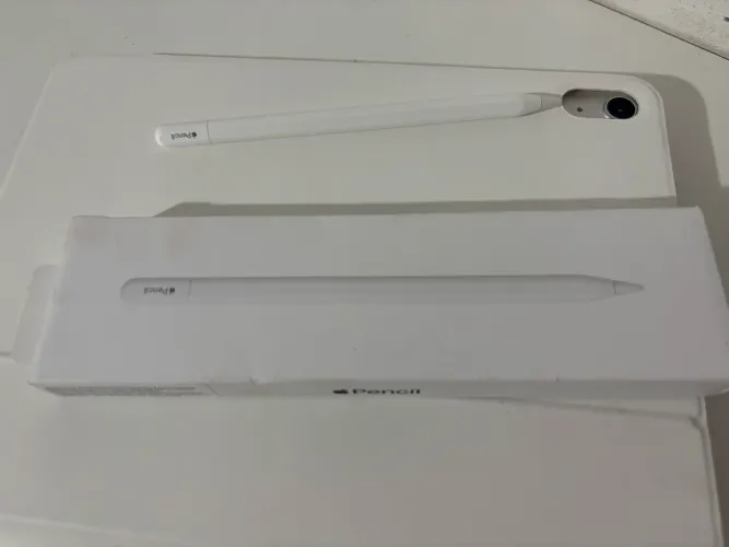Caneta original Apple Pencil (usb-c)