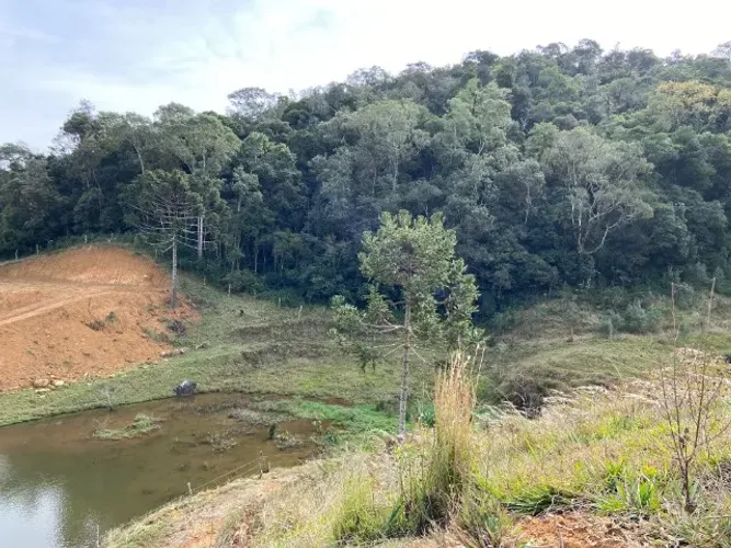 Terreno Rural em Angelina 2.000M²