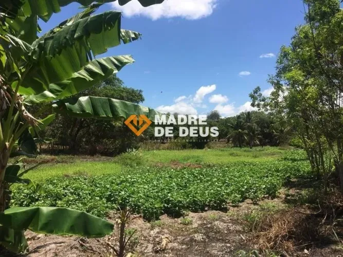 Terreno no Bairro Dourados, Horizonte