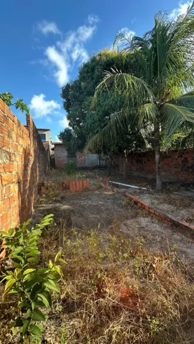 Vendo terreno na Raposa próximo do farol