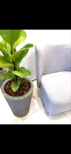 POLTRONAS TOK & STOK