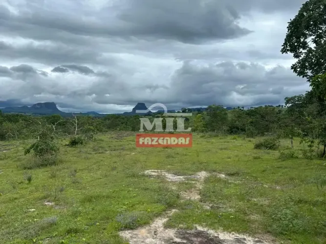 Fazenda 40 alqueires (193,6 hectares) Mineiros - Go