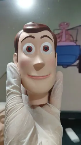 TOY STORY -WOODY HEAD 3D