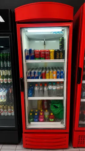 FREEZER EXPOSITOR