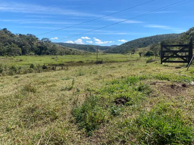 Venda